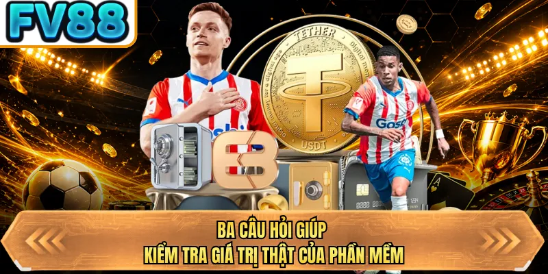 ba cau hoi giup kiem tra gia tri that cua phan mem ba cau hoi giup kiem tra gia tri that cua phan mem