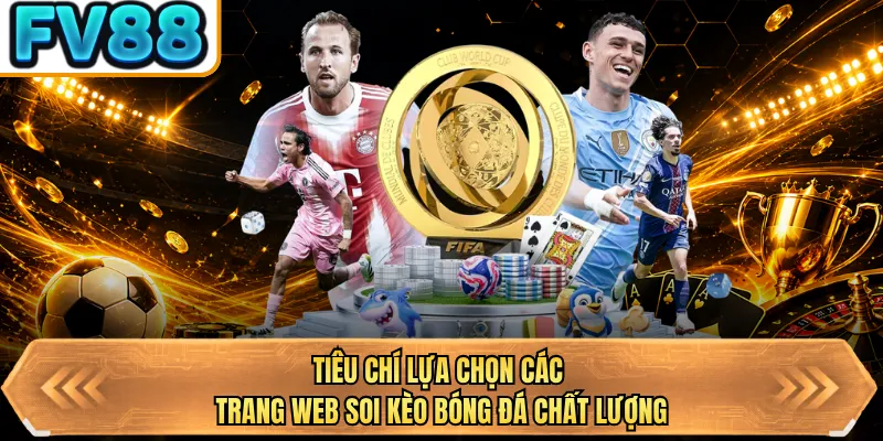 tieu chi lua chon cac trang web soi keo bong da chat luong tieu chi lua chon cac trang web soi keo bong da chat luong